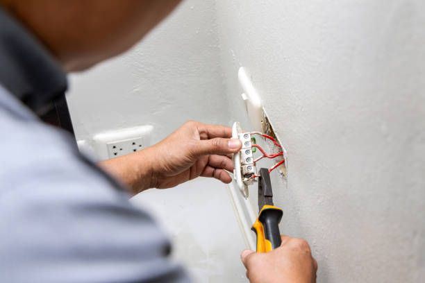 Best Outdoor Lighting Installation  in Canfield, OH